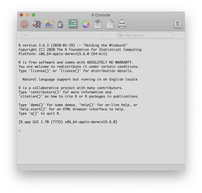 R Application Console
