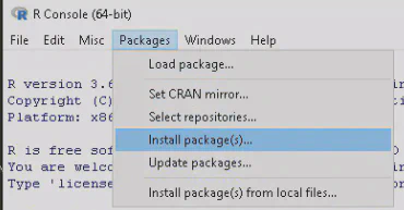 R GUI Install Packages