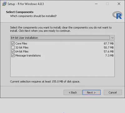 R Installation Components Selection.